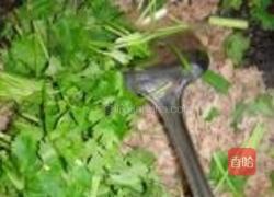 香菜爆炒羊肉的做法图解6