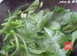 豆酱小油菜的做法图解4