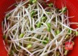 拌豆芽儿的做法图解1