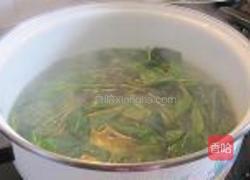 蒜蓉炒番茄叶的做法图解2