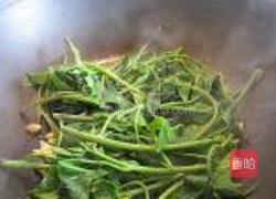 蒜蓉炒番茄叶的做法图解5