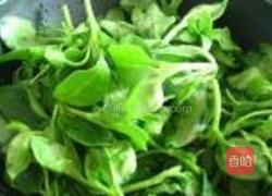 蒜蓉穿心莲的做法图解1