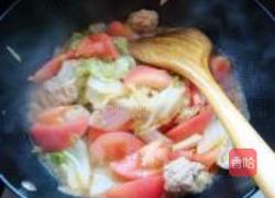 番茄白菜炖肉丸的做法图解7