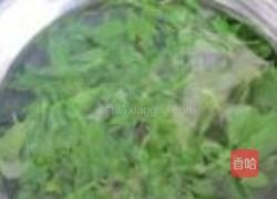 凉拌芹菜叶的做法图解4