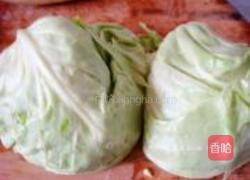 香辣手撕包菜的做法图解1