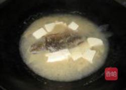 鲫鱼芫荽豆腐汤的做法图解6