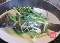 清蒸芝麻斑的做法图解4