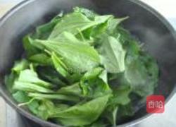 车前草拌鸭肠的做法图解5