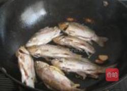 鲫鱼烧田螺的做法图解3