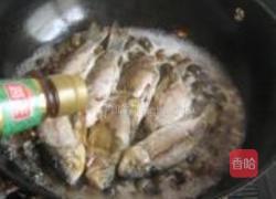 鲫鱼烧田螺的做法图解5