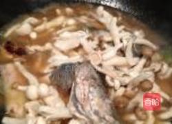 菌菇黑鱼片的做法图解10