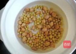 花生豆浆的做法图解2
