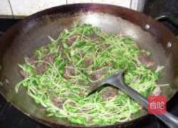黑豆苗炒牛肉的做法图解8