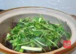 沙锅茨菇焖鹅的做法图解10