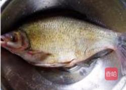 孔雀开屏鱼的做法图解1