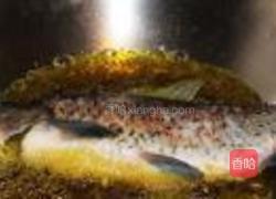 干烧鱼的做法图解4