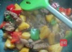 菠萝焖鸭的做法图解11