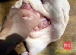 招财进宝八宝鸭的做法图解10