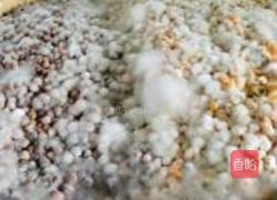 四川豌豆豆豉的做法图解5