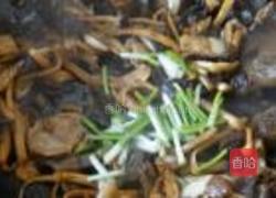 茶树菇木耳炒肉片的做法图解8