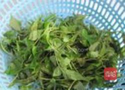 香椿煎蛋的做法图解2