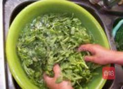 蒜蓉茼蒿的做法图解1