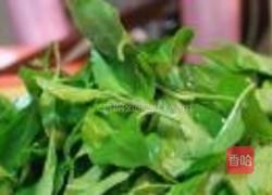 上汤枸杞叶的做法图解2