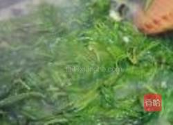 上汤枸杞叶的做法图解5