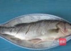 红烧鲈鱼的做法图解4