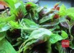 家常蒜米苋菜的做法图解1