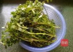 蒜蓉马齿苋的做法图解2