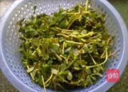 蒜蓉马齿苋的做法图解3