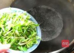 凉拌枸杞尖的做法图解10