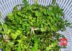 荠菜虾球的做法图解1