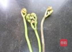炒酸辣蕨菜的做法图解1