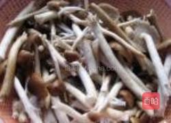 酱香茶树菇的做法图解3