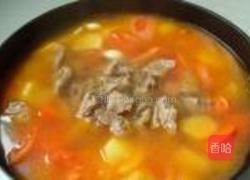 番茄烩牛腩的做法图解6
