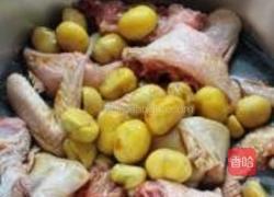 栗子鸡的做法图解7