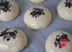 金枪鱼紫菜面包的做法图解11