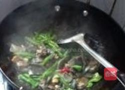红烧甲鱼的做法图解7