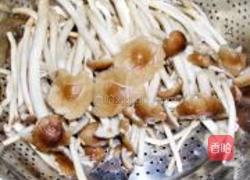 双椒茶树菇的做法图解1