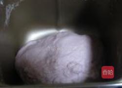 紫薯餐包的做法图解4