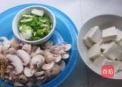 口蘑烩豆腐的做法图解2