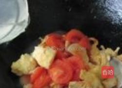 杏鲍菇番茄炒蛋的做法图解11