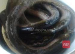台山黄鳝饭的做法图解4