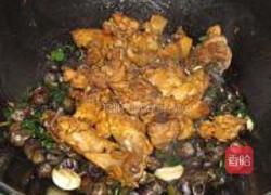 石螺鸡煲的做法图解8