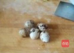 西湖燕窝的做法图解7