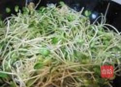 黑豆芽炒牛肉的做法图解6