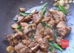 陈皮鸭肉的做法图解9