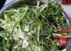 糖醋苦菊的做法图解8